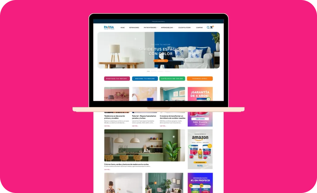 Sitio web de PAQSA