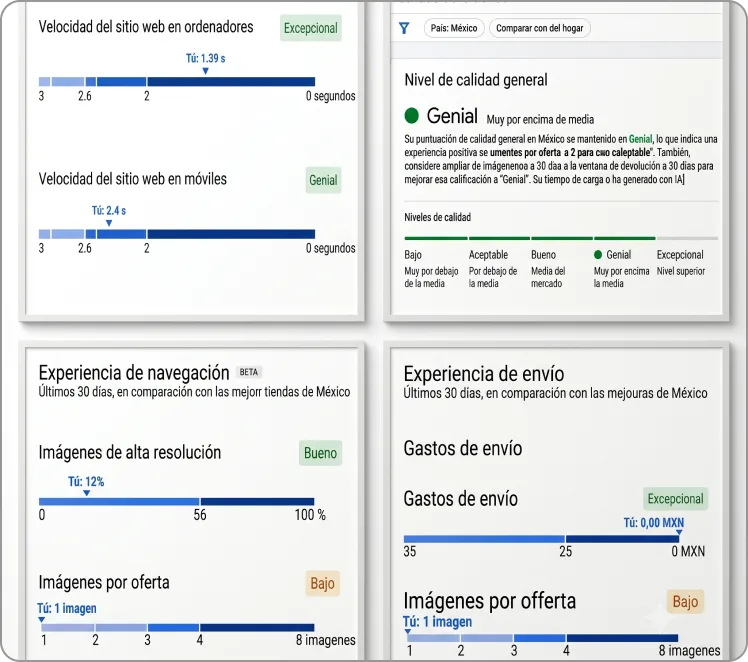 Auditoría SEO Express